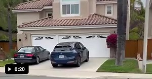 Got a butterfly kit, raised a healthy butterfly, and... - Video