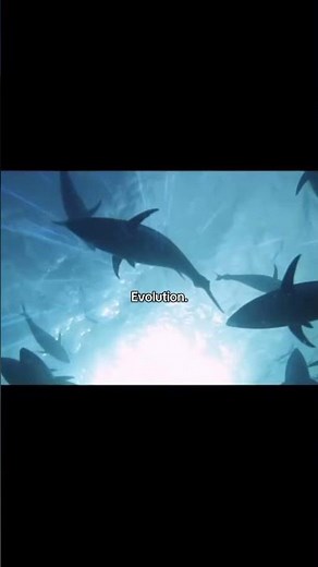 Evolution explained, Biology, humans on top of food chain