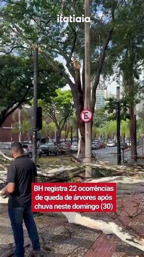 BH REGISTRA 22 OCORRÊNCIAS DE QUEDA DE ÁRVORES APÓS CHUVA NESTE DOMINGO (30)