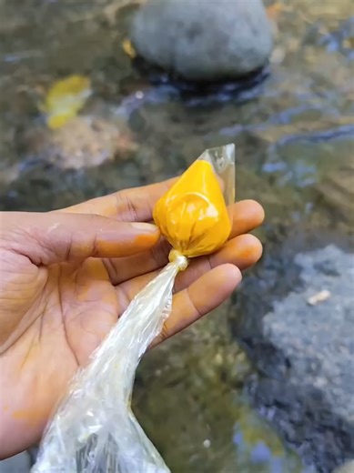 Racikan Umpan Gacor untuk Mancing Wader