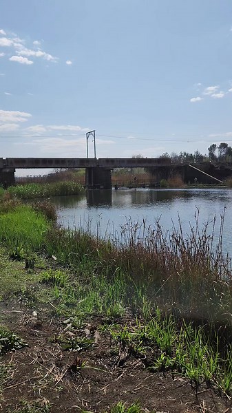 Potch Dam Fishing Session Highlights
