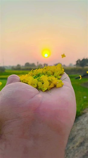 Stunning Village View: A Visual Escape