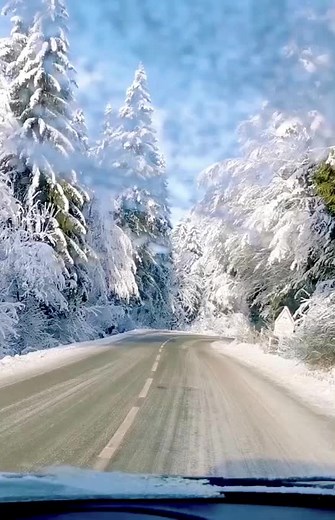 #switzerland #switzerlandtourism #swiss #suisse #travel #switzerlandnature #switzerland🇨🇭 #switzerlandtiktok #switzerlandvacation #switzerlandtrip