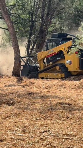 Your land has a job. Yaupon gets in the way. Our speciality is clearing yaupon and heavy brush on multi-acre rural properties. Blocked access. Raw, unusable land. Build site prep. We turn hard-to-use acreage into land that’s functional again. 👉 Forestry mulching for dense brush and woody growth 👉 Grading to fix sloped or uneven ground 👉 Preparing land so trucks, equipment, and future plans can move forward Click “Get Quote” to request a free, in-person project estimate. 📍 Serving Buffalo, Fa
