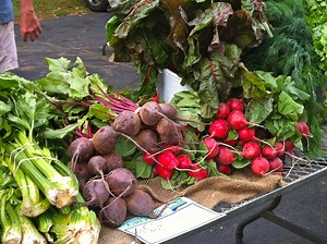 Greenwich Farmers Market Season Ready to Open