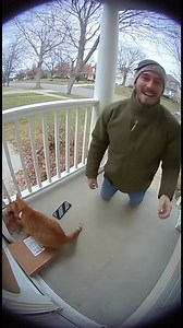 848K views · 3.8K reactions | Watch a cat leap off the railing chasing a leaf, neighbors slipping, and dogs barking in this hilarious chaotic moment captured with a grainy doorbell cam effect. Funny panicked voices and distorted sounds add to the amusement! | Tiny Tale Hub | Facebook