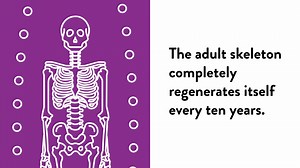 1.1K views · 32 reactions | We don’t often give a lot of thought to our bones – until we happen to break one. The four most important nutrients for supporting bone health are two vitamins and two minerals. https://www.thorne.com/take-5-daily/article/what-are-the-essential-nutrients-for-bone-health | Thorne | Facebook