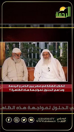 الحكم الشرعي للتخلص من الكلاب الضالة ما هو ؟ من الحياة #اكسبلور #اعجاز #قصص