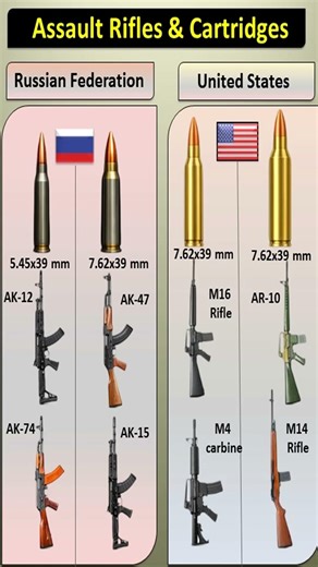 Most Popular Assault Rifle Cartridges & Their Rifles