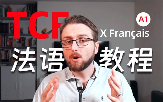 【油管最好学的法语教程】建议学不进去的多刷这个，这个老师讲的巨详细丨中法字幕