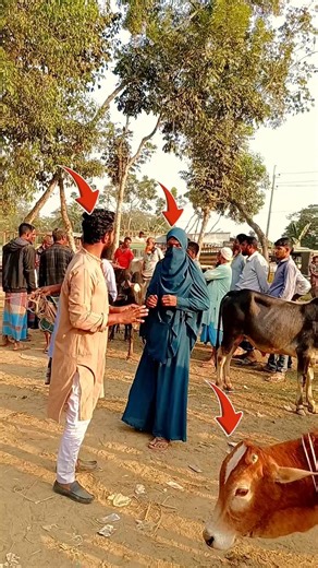 Scared of the Cow… So He Ran Over There! 😁😂 #funny #comedy