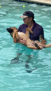 121K views · 3.3K reactions | It's not easy to get a pup in the pool to be this trusting on his back. But our young shepherd enjoys his aqua therapy. | Canine Angels Service Dogs | Facebook