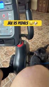 Testing My New Schwinn 270 Recumbent Bike (Until Jax Interrupted!) 🐕🚴‍♂️