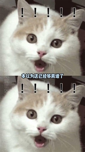 網際網路早已飽和？當你以為沒梗時，這些神人總能讓你笑到缺氧 #搞笑 #萬萬沒想到 #離譜 #跑步 #網路迷因