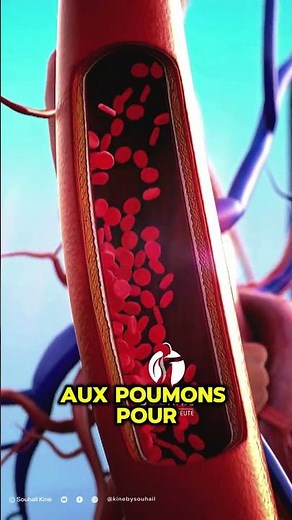 How the Heart Works Explained: An Animation to Understand