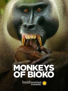 Monkeys of Bioko (2020) - Movie