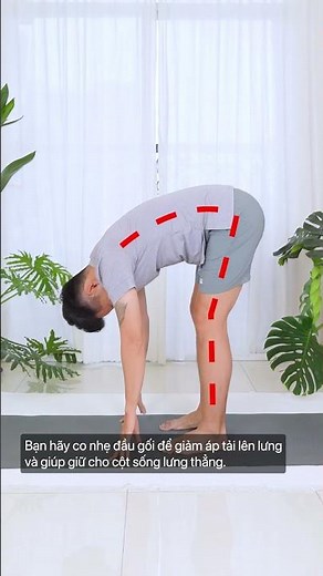 Yoga Standing Forward Bend: Benefits, Mistakes, and Alignment Guide | Yoga Origins
