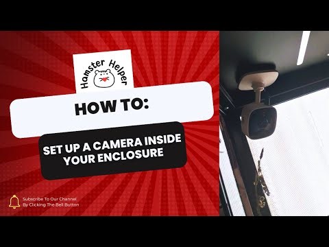 How I Mount a Camera Inside My Bucatstate 3.0 Hamster Enclosure (Safe & Simple Setup)