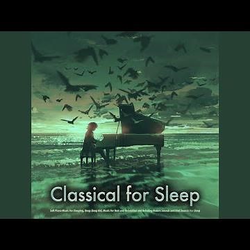 Moonlight Sonata - Beethoven - Sleeping Music - Nature Sounds - Classical Piano Sleep Music