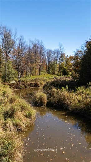 123+ Acres of Prime Amaranth Farmland | 374518 6th Line, Amaranth, Ontario | Susan Moffat, REALTOR®