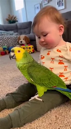 Funny Parrot Jokes That Will Make You Laugh