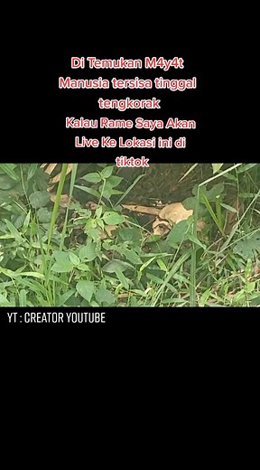 ian Creator on TikTok