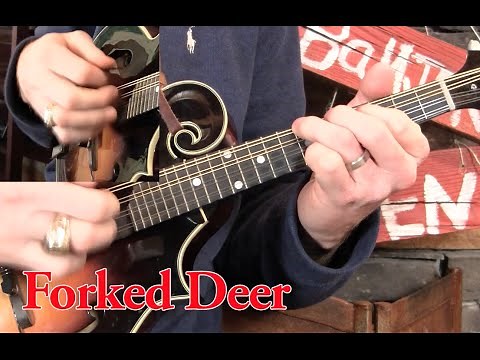 Forked Deer Mandolin Lesson!