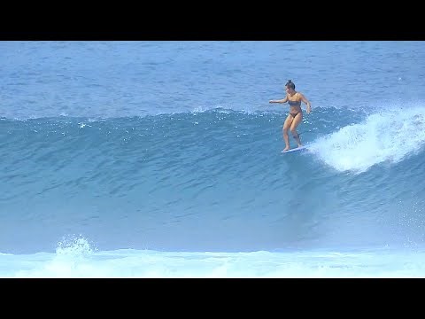 Surfs Up! Dans Surf Videos - Hawaii