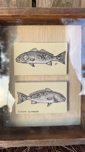 A very special redfish!! 2, 3x5” canvases mounted inside of an 8x10” wooden shadow box. Commission for @Joe Dudzinski