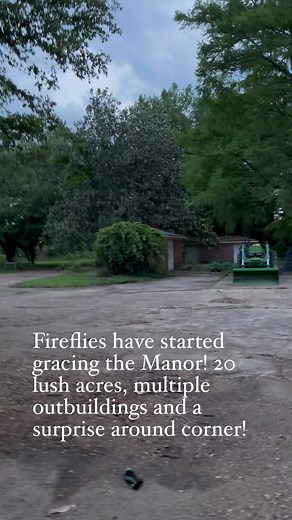 Firefly season 🌺 | Ever After Manor