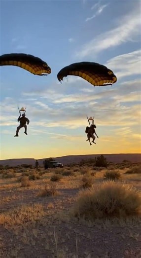 Watch This K9 Jump Over a Red Rock Canyon