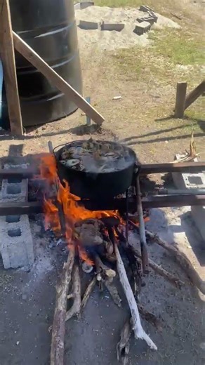The Simplest Way to Cook This Many Crabs #outdoorcooking #technique #asmr