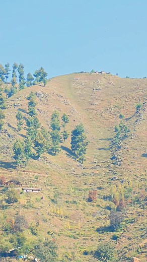 429K views · 14K reactions | one plus12 zooming | Waseemkhan | Facebook