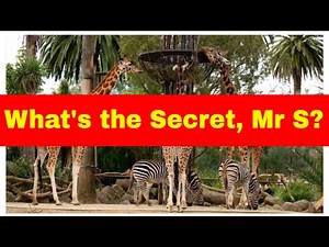 Unlock the Secret of Descriptive Writing (Mr Salles)