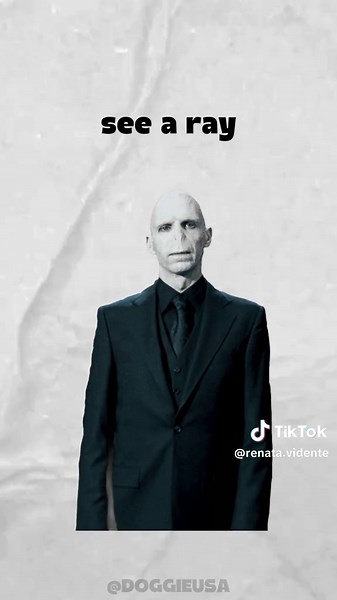 Create Your Own Universe with Doggie's Guidance