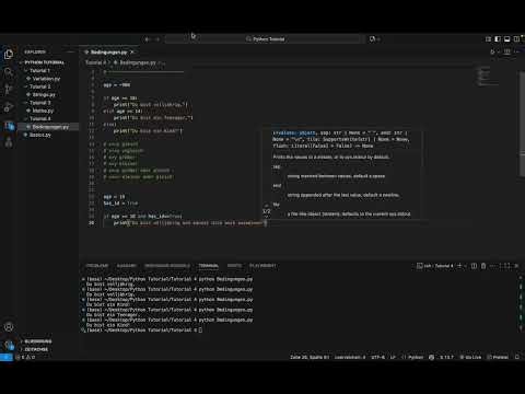 [4] Python Lernen für Anfänger - Bedingungen verstehen (if / elif / else) leicht erklärt 🐍 #python