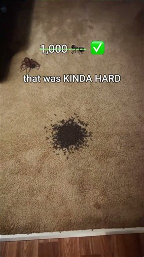 100 vs 1,000 vs 10,000 Ants: Tug-of-War Battle 🐜⚔️ #shorts #experiment #vfx