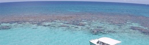 Barrier Reef Grand Cayman Snorkel Review (2026)
