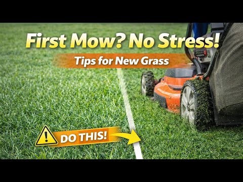 First Time Mowing New Grass? Avoid These Mistakes