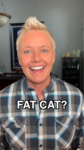 Cat Weight Management Tips