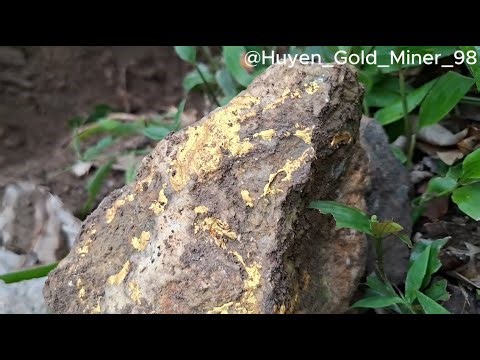 Deep in the Jungle — We Found a 7kg Quartz Rock Full of Gold Veins!