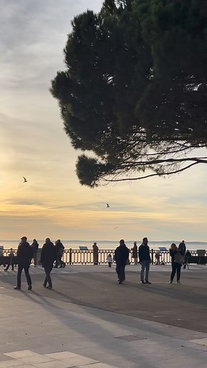 Rien ne vaut une belle promenade en bord de mer 🌅✨ À votre avis, quelle est la longueur de la jetée d’Andernos-les-bains ? 🤔 #moment #coucherdesoleil #film #bassindarcachon #andernos #andernoslesbains #movie #bassinarcachon #sunset #balade #promenade #gironde #aquitaine #nouvelleaquitaine #naturelover #sunsetlovers | Vivre le Bassin