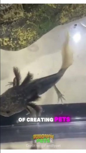 Firefly Axolotl Glowing Tail Marvel #FireflyAxolotl