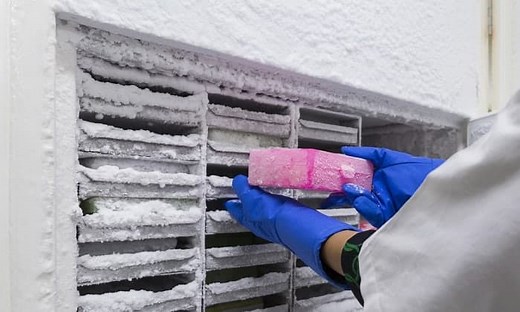12 Best Freezer Work Gloves to Keep Your Hands Warm