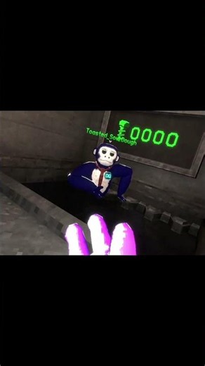 Im going to drop him! #gorillatag #gorillatagquest #flunklugvr #helpmemakethismakesense #vr