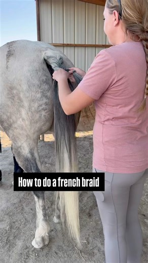 How to do a French braid in your horses tail😍
