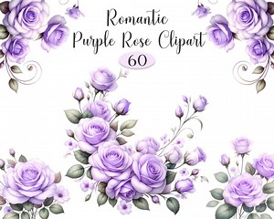 Purple Rose PNG, Watercolor Purple Rose Clipart, Flower Bouquet, Wreath, Spring Floral, Digital Download - Etsy