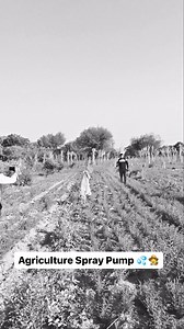 Agriculture Spray Pump 💦🌾 डबल मोटर के साथ डबल पॉवर भी 💪 . बलवान स्प्रेयर अब मौजूद हैं 15 से 20 अधिक मॉडल्स में उपलब्ध🌾 . स्प्रेयर ऑर्डर करने के लिए नीचे दिए गए नंबर पर कॉल करे 0141-672-7700 www.balwaan.com . . #Balwaan #balwaan_krishi #agriculture #farming #sprayer #sprayerpump #viralvideostoday #trendingreels2024 #popular | Balwaan Krishi