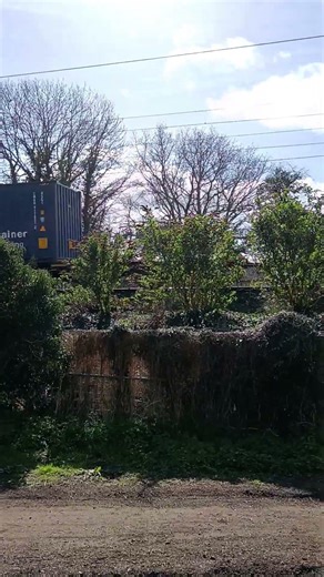 another class 66 zipping through Needham market