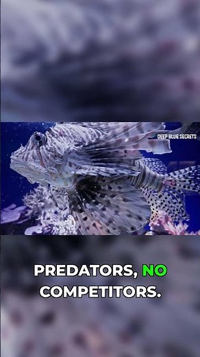 The Fish That Broke An Entire Ecosystem #lionfish #ocean #invasive